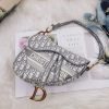 Frosted saddle bag