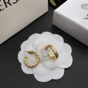 Fashion C-type Earrings