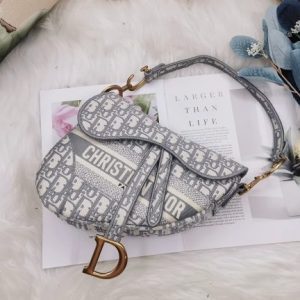 Frosted saddle bag