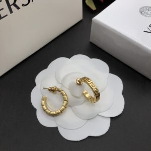 Fashion C-type Earrings