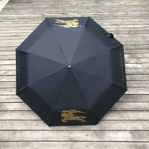 Windproof automatic portable umbrella